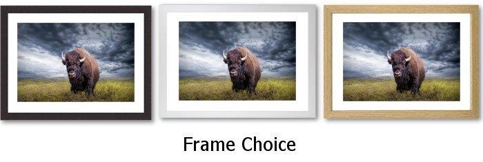 Frame Choice